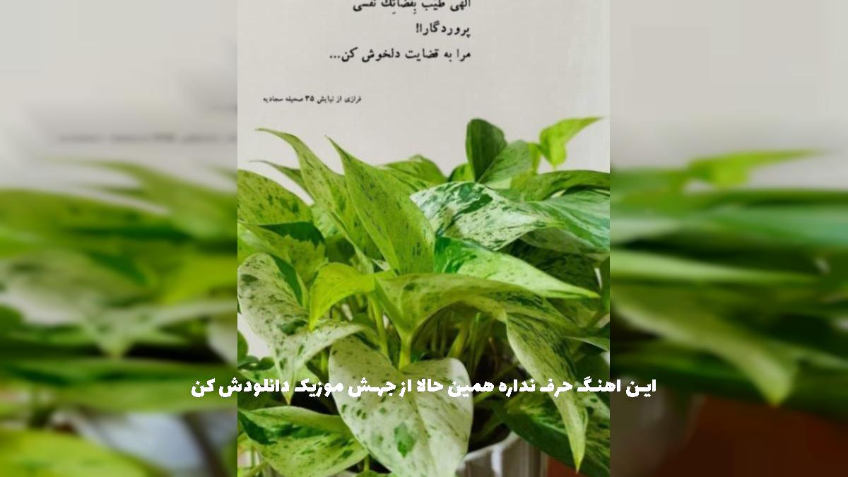 دانلود آهنگ ابرا صورتین میخوان بکشنم مثل اکس ایلومیناتی از 